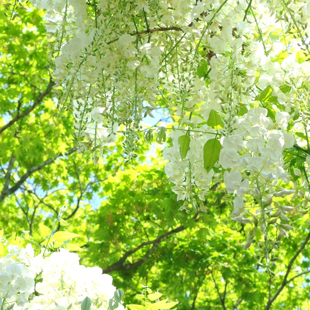 IMGP0057