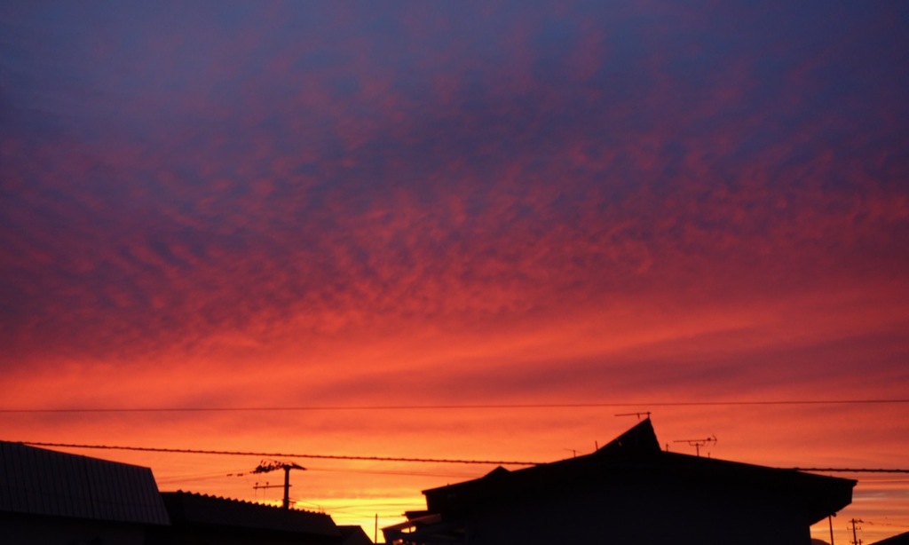 9月2日の夕焼け２