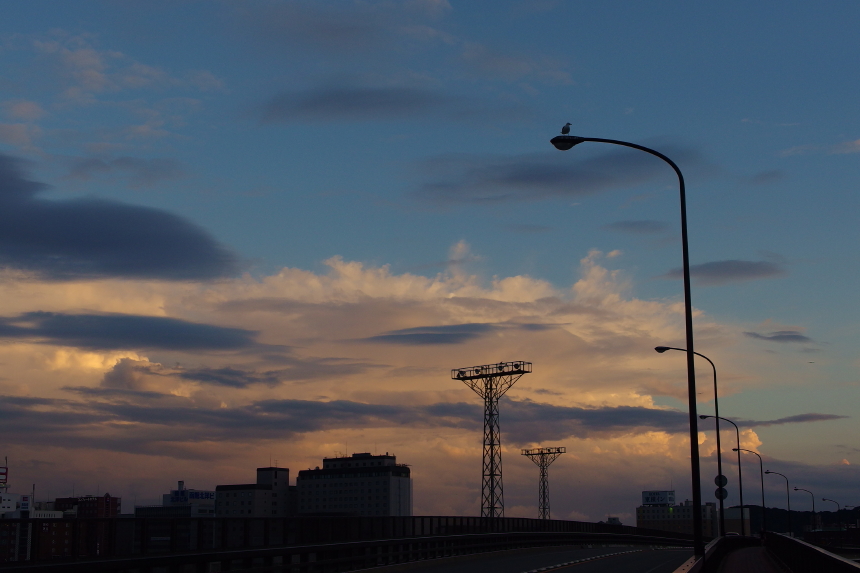 IMGP2827_1