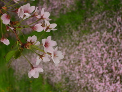 R1134170