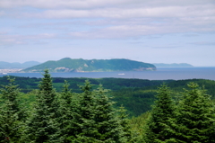 P1000556_1