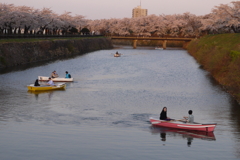 2014.5.4　五稜郭公園　1