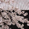 五稜郭公園の桜　2022−2