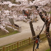 函館公園にて　１