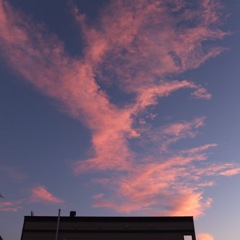 DSCF2733