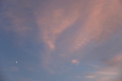 DSCF2776
