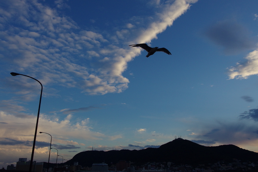 IMGP2810_1