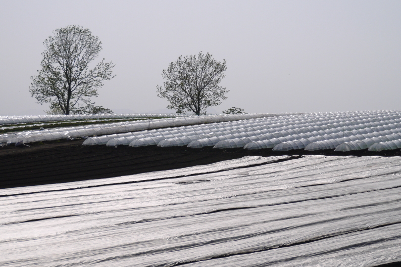 今年は何が出来るのか…？