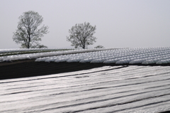 今年は何が出来るのか…？