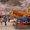 函館公園にて　４
