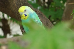 庭で寛ぐ