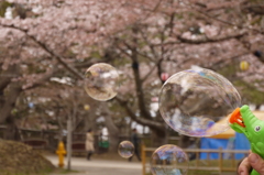 函館公園にて　２