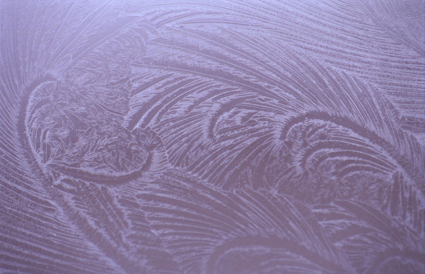 mar24068_1