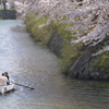 2014.5.4  五稜郭公園  8