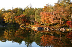 昭和記念公園2011（秋）30