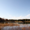 昭和記念公園2011（秋）5
