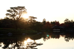 昭和記念公園2011（秋）32
