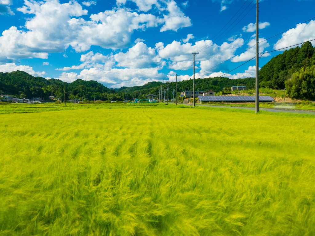 秋風渡る