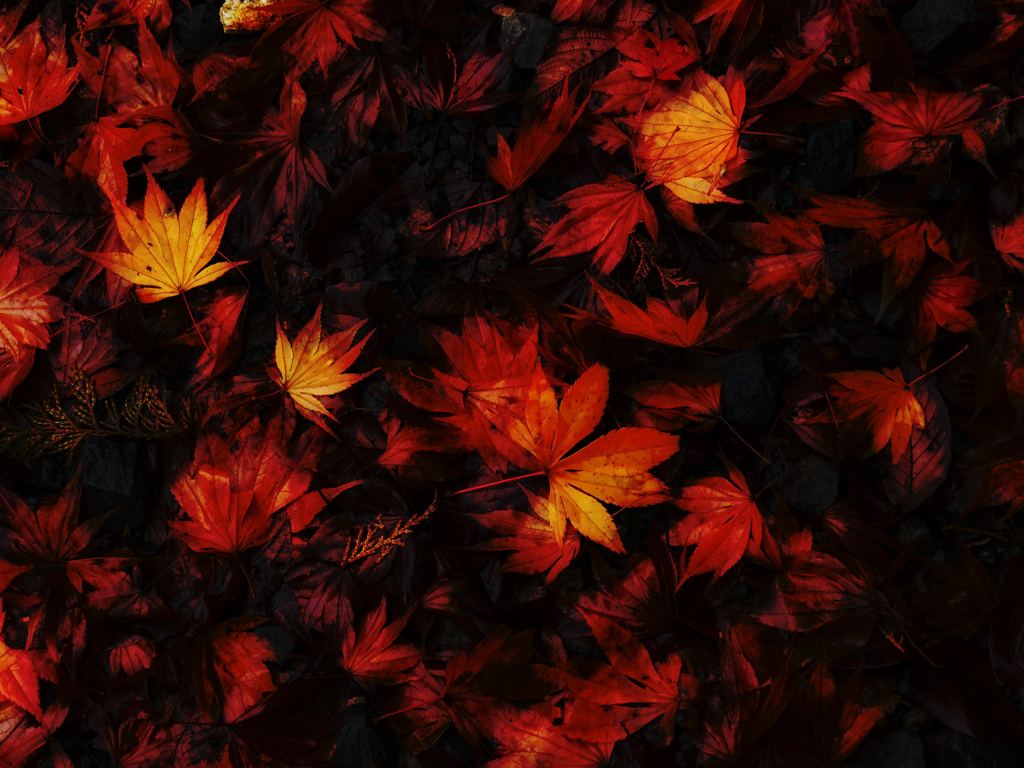 足元の芸術