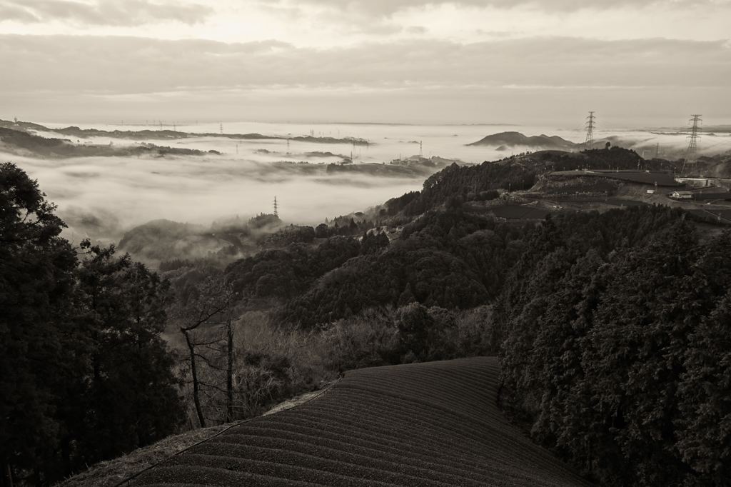 霧の朝　２
