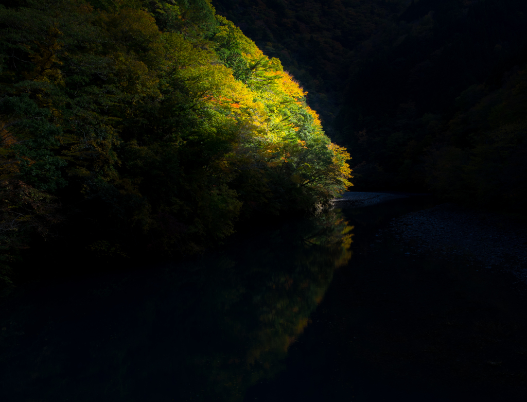 午後の紅葉