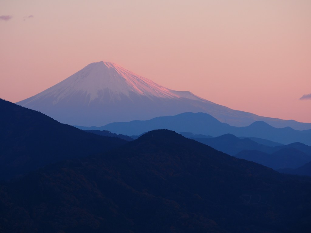 薄紅色
