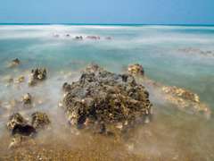 海　夏色