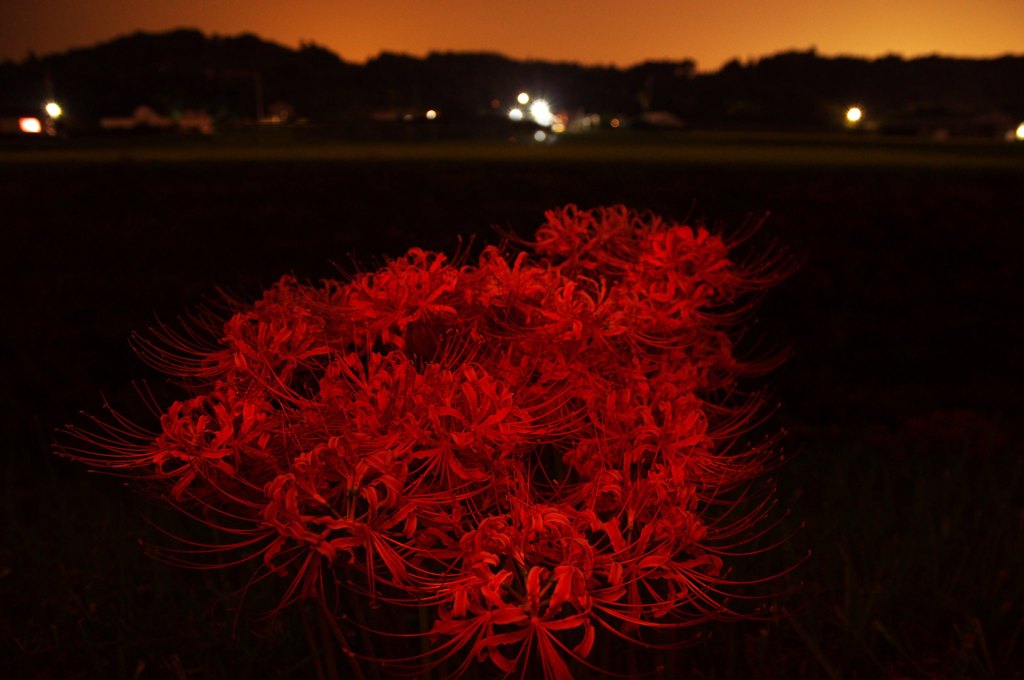 赤い夜