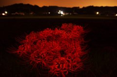 赤い夜