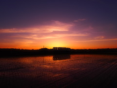 夕焼け見ながら帰ろ