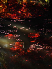映り込みの秋景