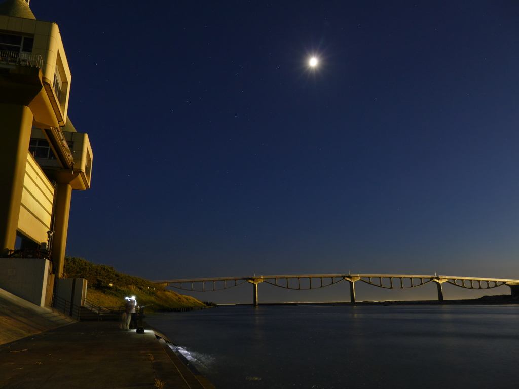 夜釣り