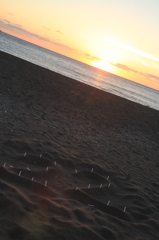 幸せのあと。。。