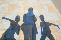 小豆島オリーブ園で...