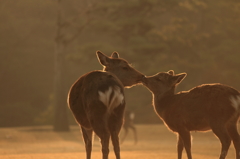 Kiss!