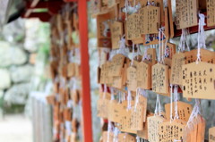 白鬚神社にて