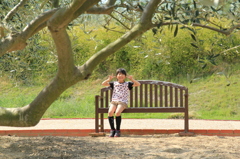 小豆島オリーブ園で...