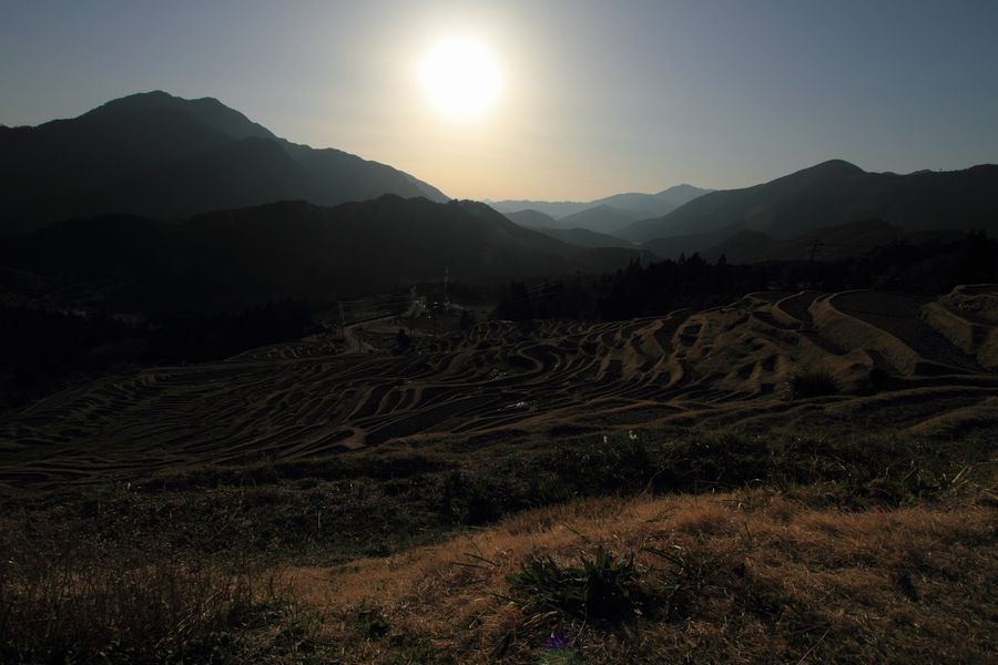 熊野　丸山千枚田