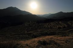 熊野　丸山千枚田