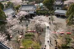 和みの春