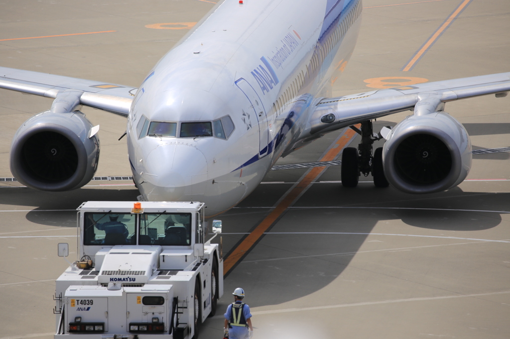 眩しい機体