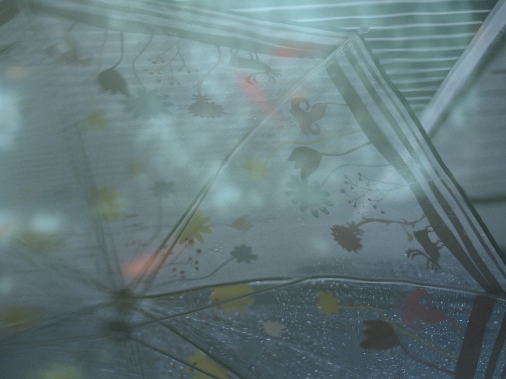 雨ノ日