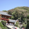 鶴岡八幡宮