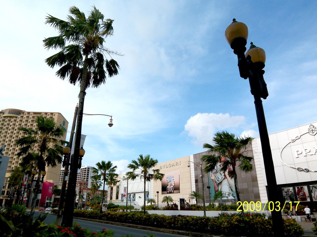 20090317_00