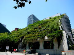 20090519_02