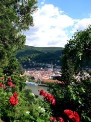 20090529_03