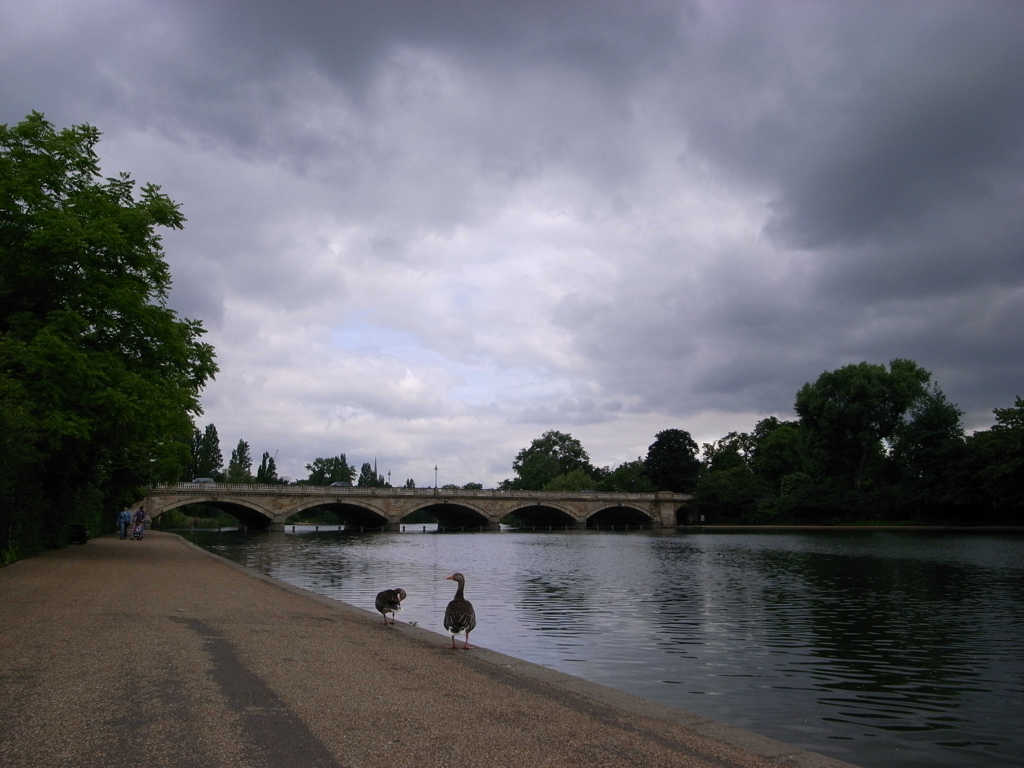 20080611_01