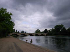 20080611_01