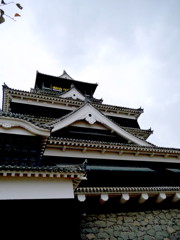 20081023_00