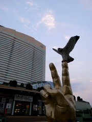 20090816_00